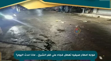 موجة أمطار صيفية تهطل فجأة على كفر الشيخ.. ماذا حدث اليوم؟